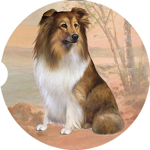 Sheltie coasters car