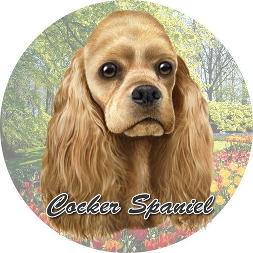 Cocker Spaniel Car Coaster