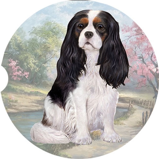 Cavalier King Charles tri color coasters car