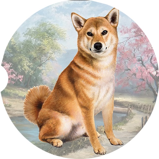 shiba inu coasters car