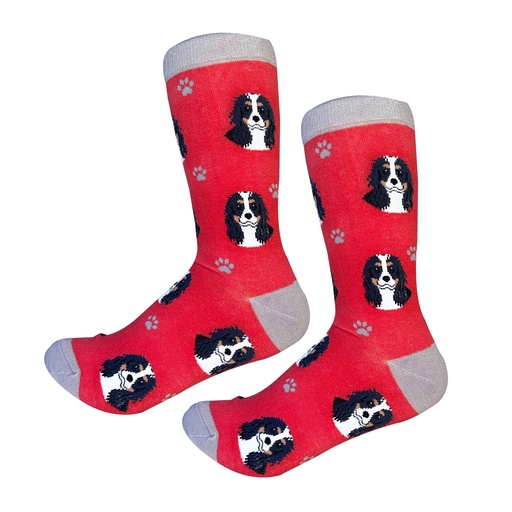 [800-19] Cavalier King Charles Tri Color  Socks