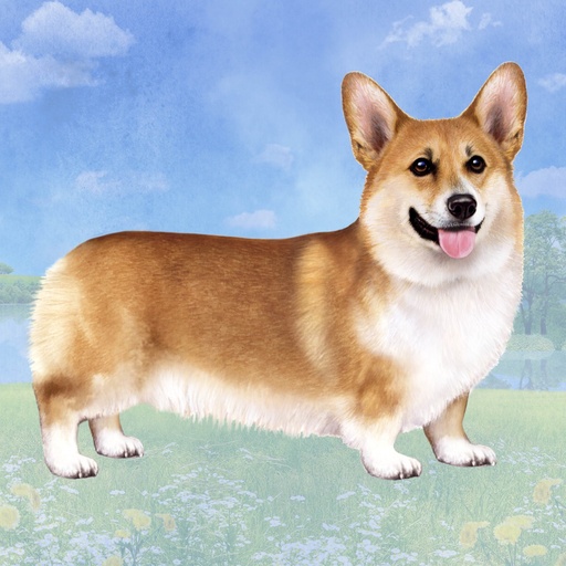 [770-100] Welsh Corgi  Tote, foldable