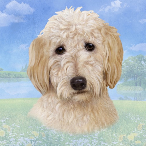 [770-134] Goldendoodle  Tote, foldable