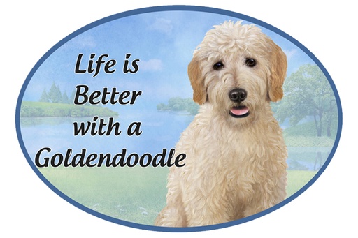 [1001-134] Goldendoodle car magnets, oval