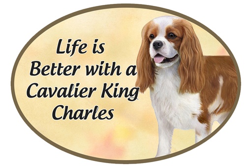 [1001-18] King Charles Cavalier  car magnets, oval