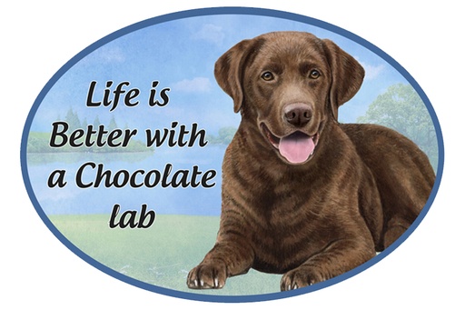 [1001-22] Labrador, chocolate car magnets, oval