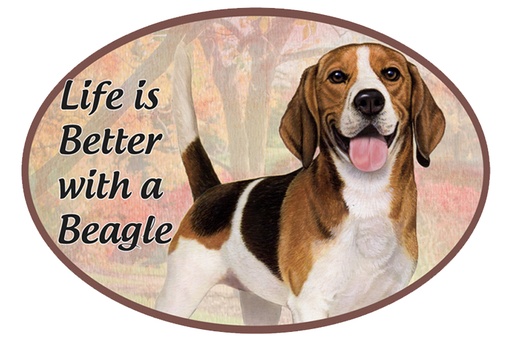 [1001-3] Beagle car magnets, oval