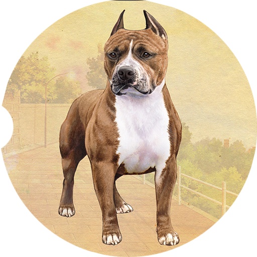 Pit Bull Standing  coasters car