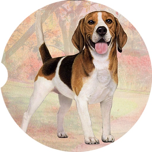 Beagle coasters car