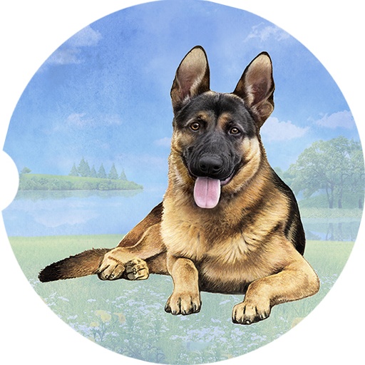 German Shepherd Laying  coasters car