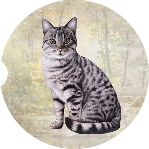 Tabby Silver coasters car