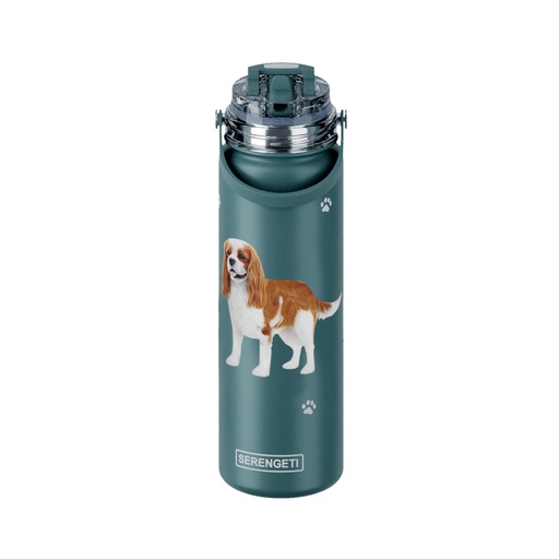[420-18] King Charles Cavalier water bottle