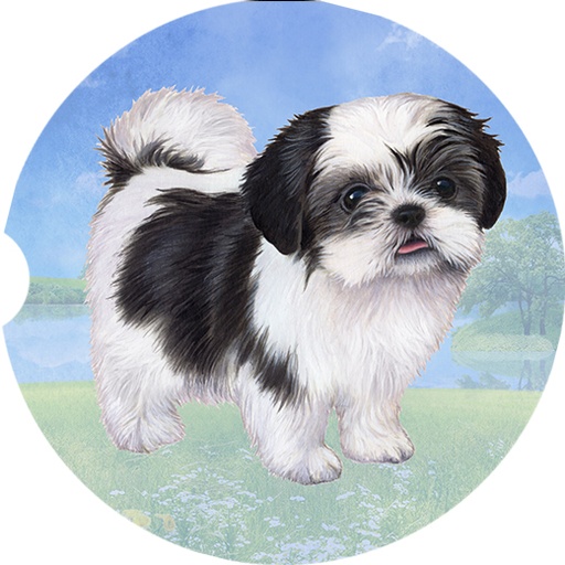 Shih Tzu_Black & White Standing coasters car