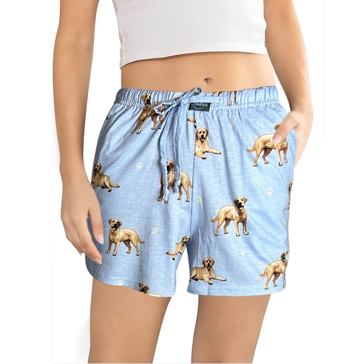 Labrador, yellow shorts