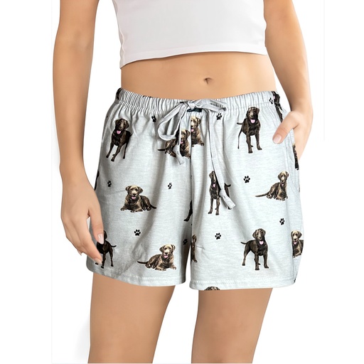 Labrador, chocolate shorts