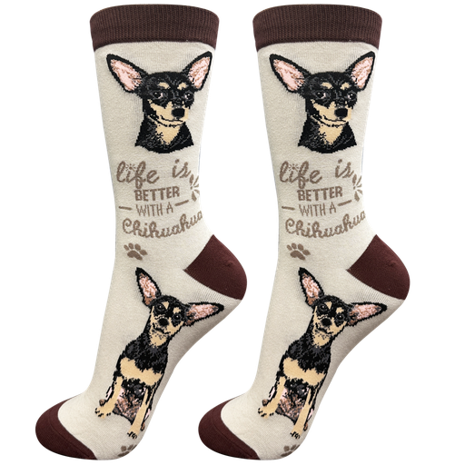 [840-11] Chihuahua, black socks, life is better