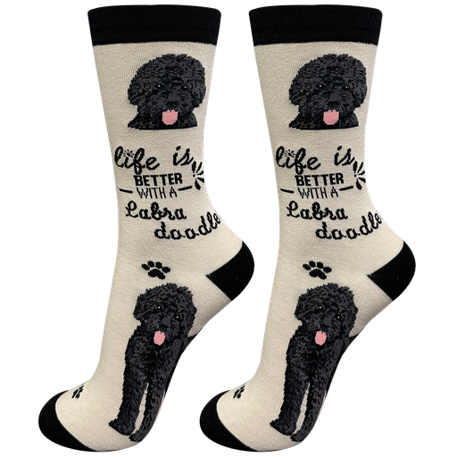 [840-121a] Labradoodle, black socks, life is better