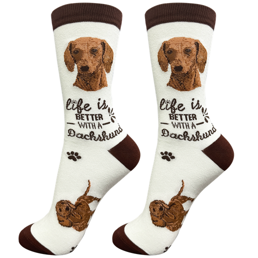 [840-13] Dachshund, red socks, life is better
