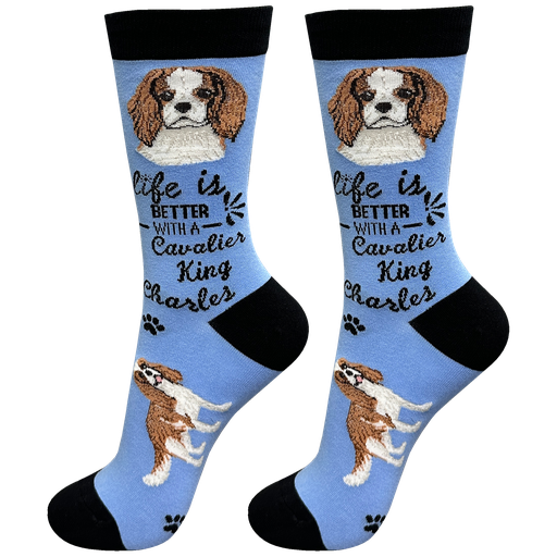 [840-18] Cavalier King Charles socks, life is better
