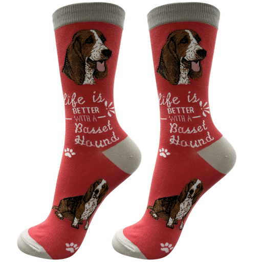 [840-2] Basset Hound  socks, life is better