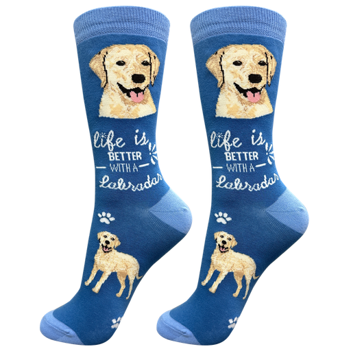 [840-20] Labrador, yellow socks, life is better