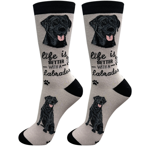 [840-21] Labrador, black socks, life is better