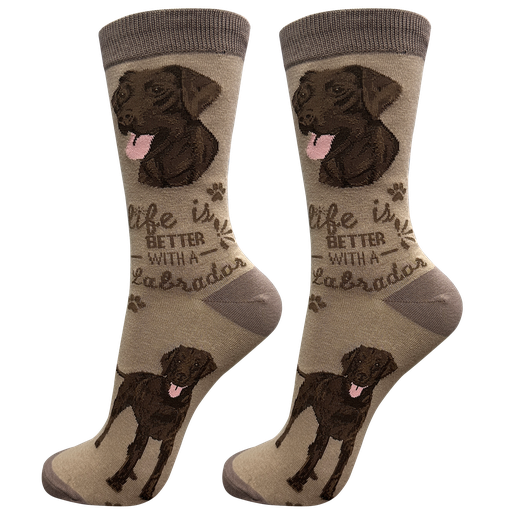 [840-22] Labrador, chocolate socks, life is better