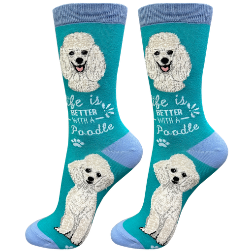 [840-28] Poodle, white socks, life is better