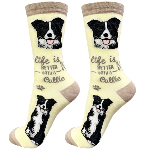 [840-5] Border Collie  socks, life is better