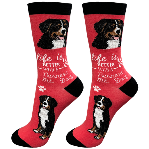 [840-52] Bernese Mt. Dog  socks, life is better
