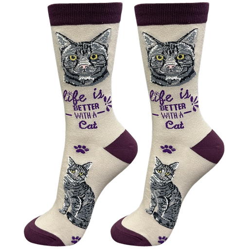 [841-8] Tabby, Silver socks, life is better