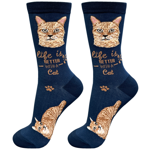 [841-9] Tabby, Orange socks, life is better