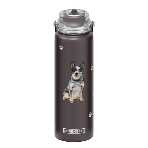 [420-90] Australian Cattle Dog water bottle