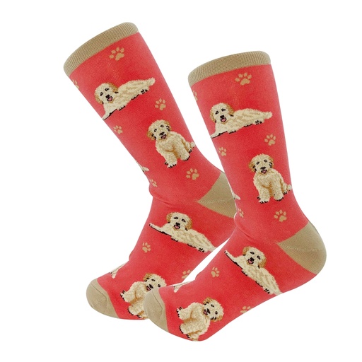 [800FB-134] Goldendoodle, peach Socks, Full Body Dog