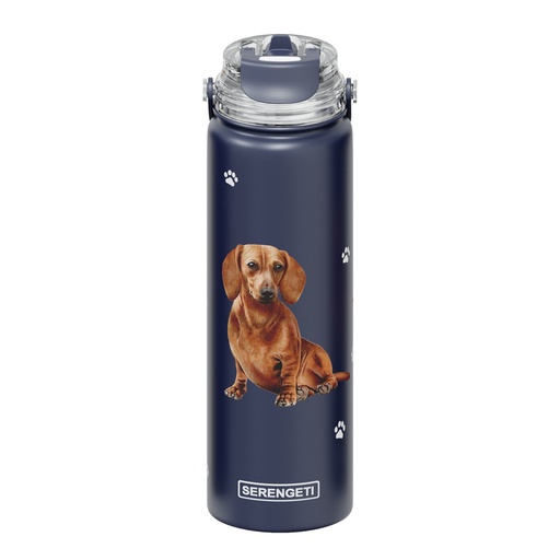 [420-13] Dachshund, red water bottle