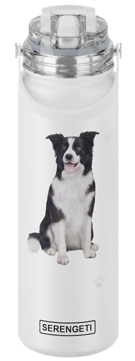 [420-5] Border Collie water bottle