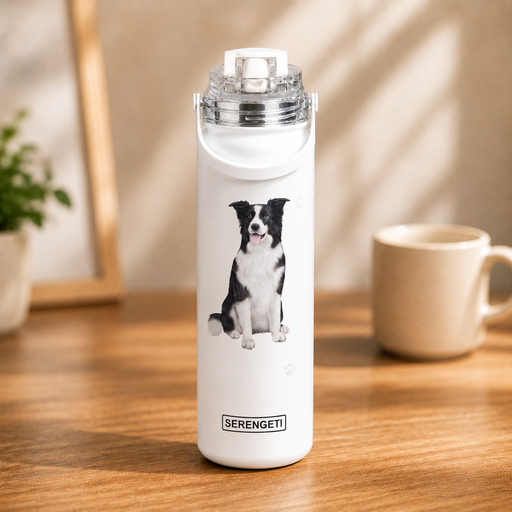 [420-5] Border Collie water bottle
