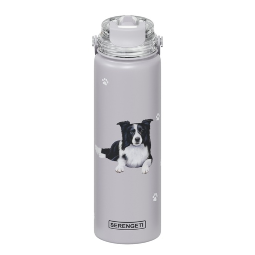 [420-5] Border Collie water bottle