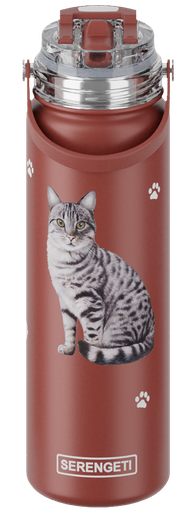 [421-9] Tabby Silver water bottle