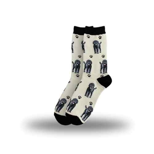 [800FB-121a] Labradoodle Black Socks, Full Body Dog