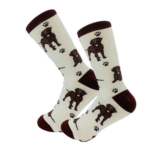 [800FB-22] Labrador, Chocolate Socks, Full Body Dog