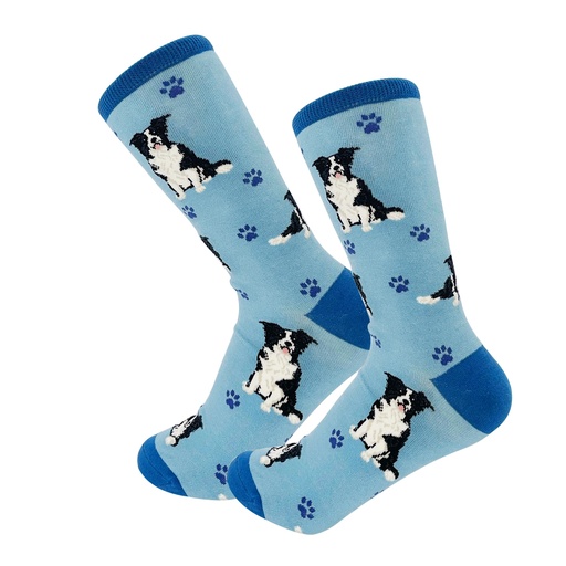 [800FB-5] Border Collie, Full Body Dog