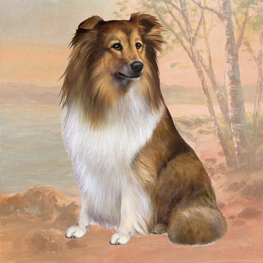 [770-37] Sheltie Tote, foldable