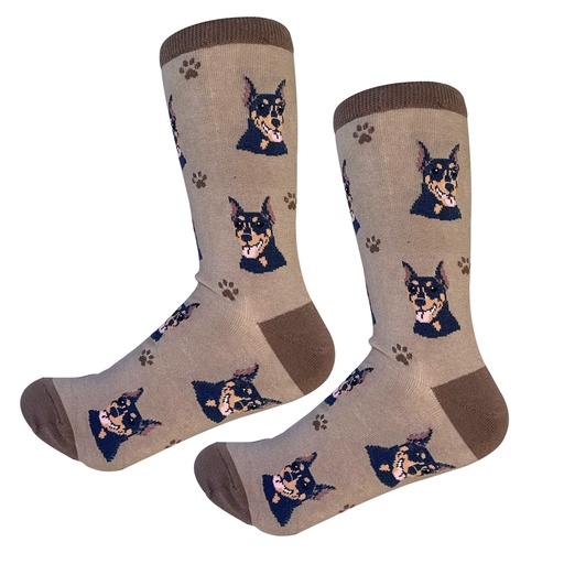 [800-101] Doberman  Sock Daddy