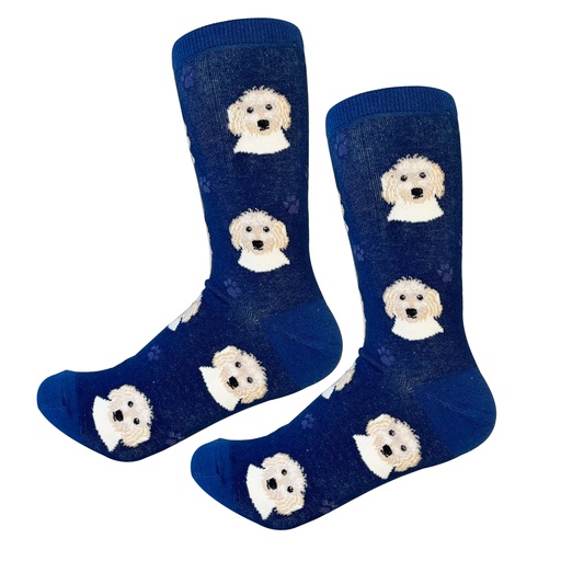 [800-134] Goldendoodle  Sock Daddyy