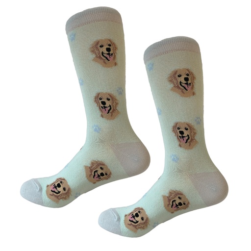 [800-15] Golden Retriever  Sock Daddy