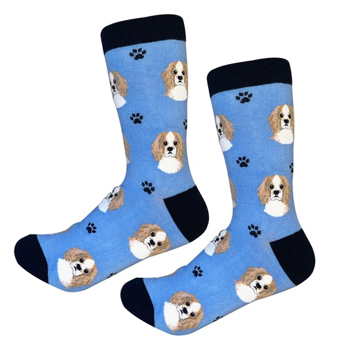 [800-18] Cavalier King Charles Sock Daddy