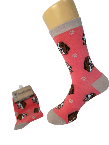 [800-2] Basset Hound  Sock Daddy