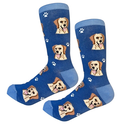 [800-20] Labrador, yellow Sock Daddy