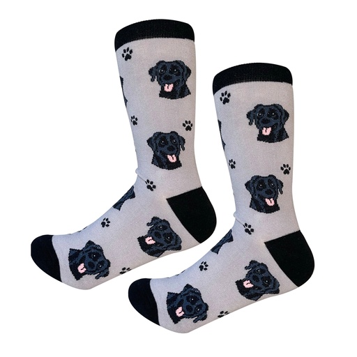 [800-21] Labrador, black Sock Daddy